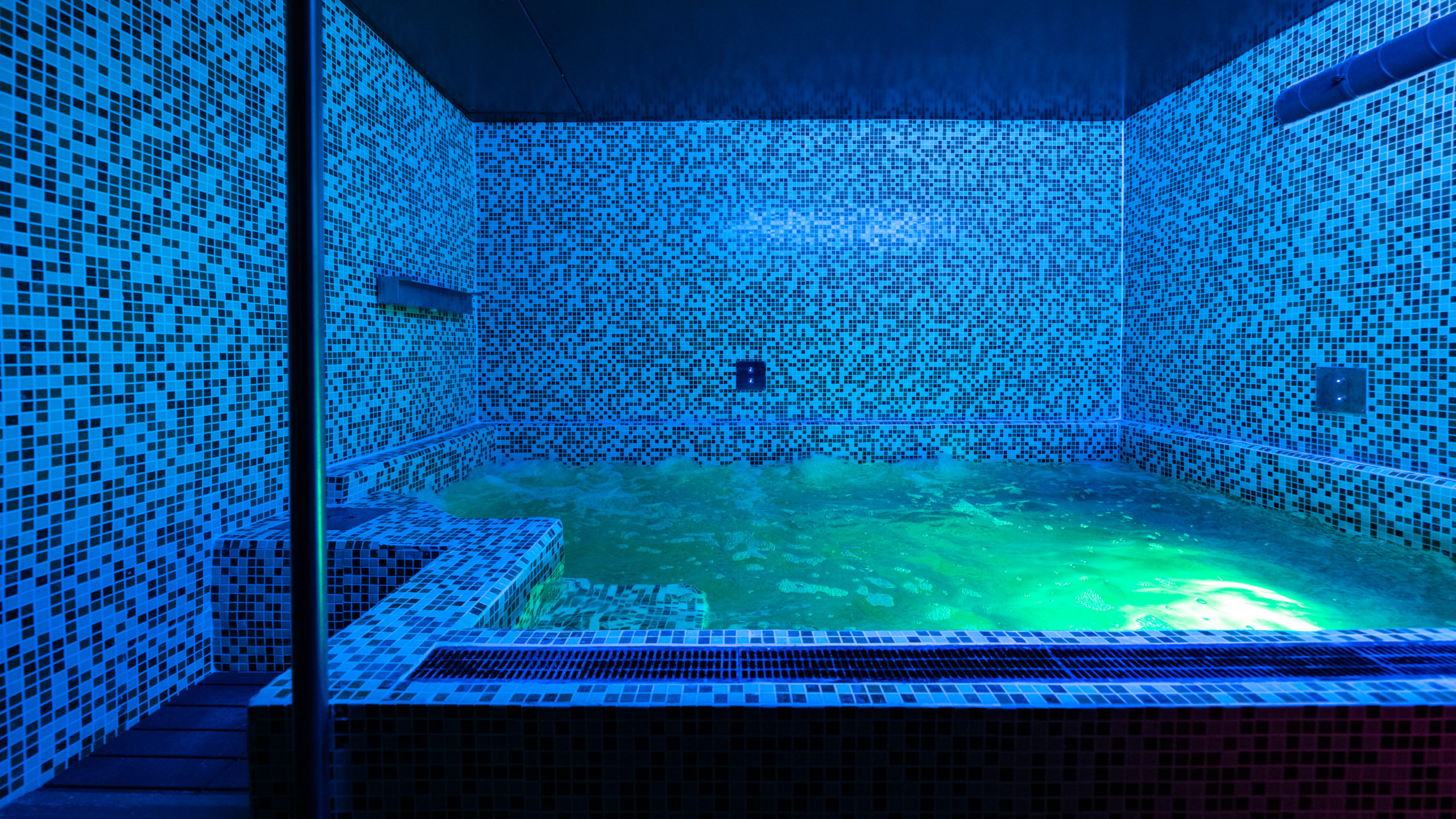 Swimming Pool / Hydro-Massage SaunApolo 56